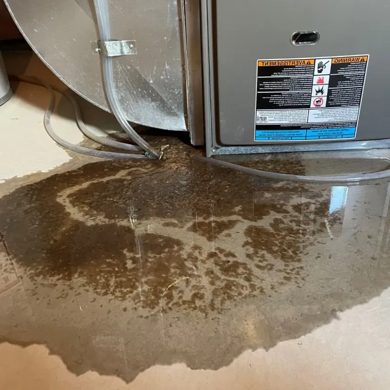 Pipe Burst and Leak Restoration in Mamaroneck, NY